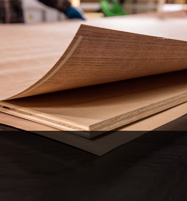 Khám Phá Plywood Veneer Trong Thiết Kế Nội Thất Hiện Đại
